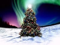 pic for Christmas Tree  